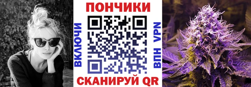 Бошки марихуана LSD WEED  дарнет шоп  Южа 